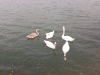 2012-10-31-14-09-58